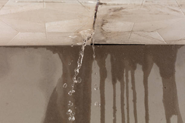 Professional Burst Pipe Cleanup technician working in Lake George, MI